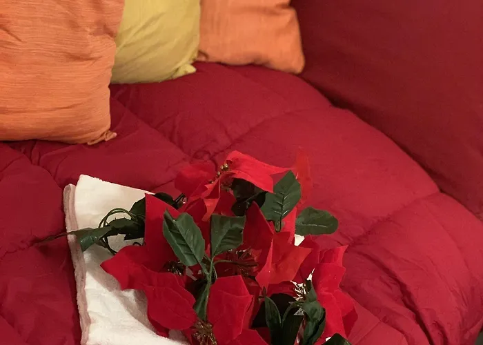 Admiral البندقية